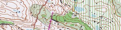 Jukola leg 5