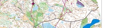Jukola 2019